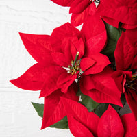 Couronne poinsettia