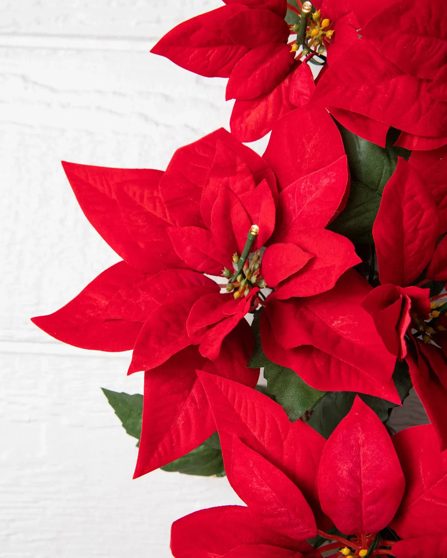 Couronne poinsettia