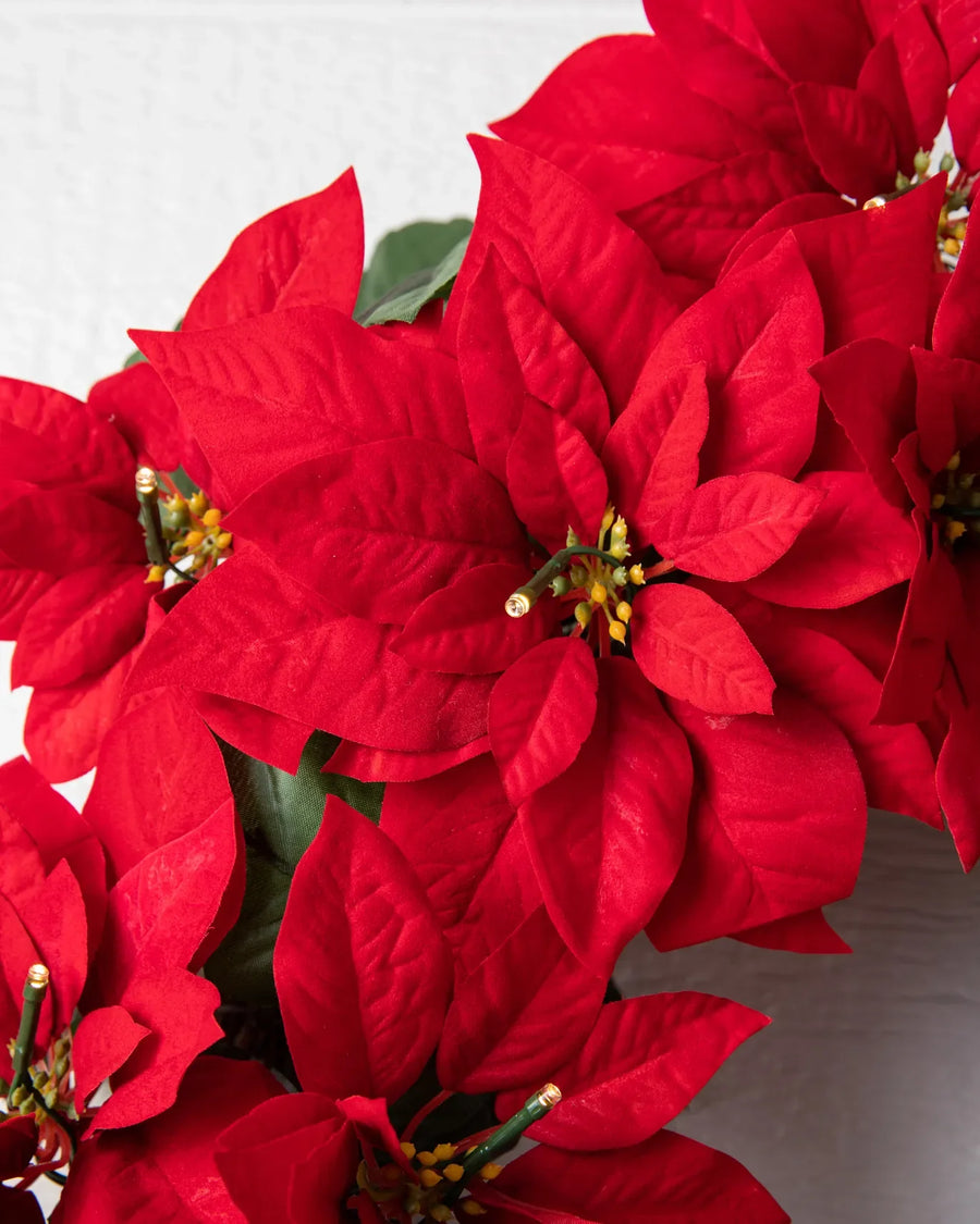Couronne poinsettia